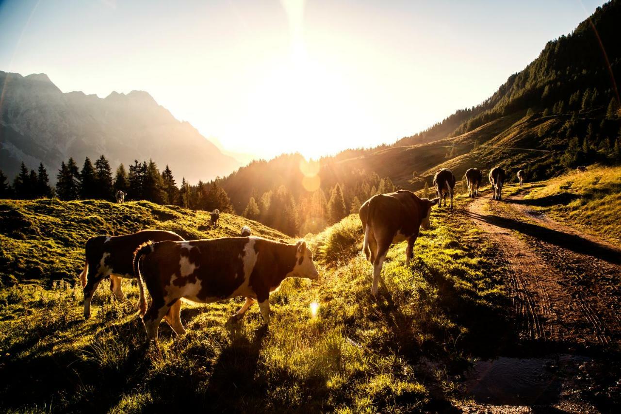Kaiserhaus Leogang Eksteriør billede